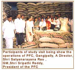 Paddy Farmers Cooperative, Gangipally